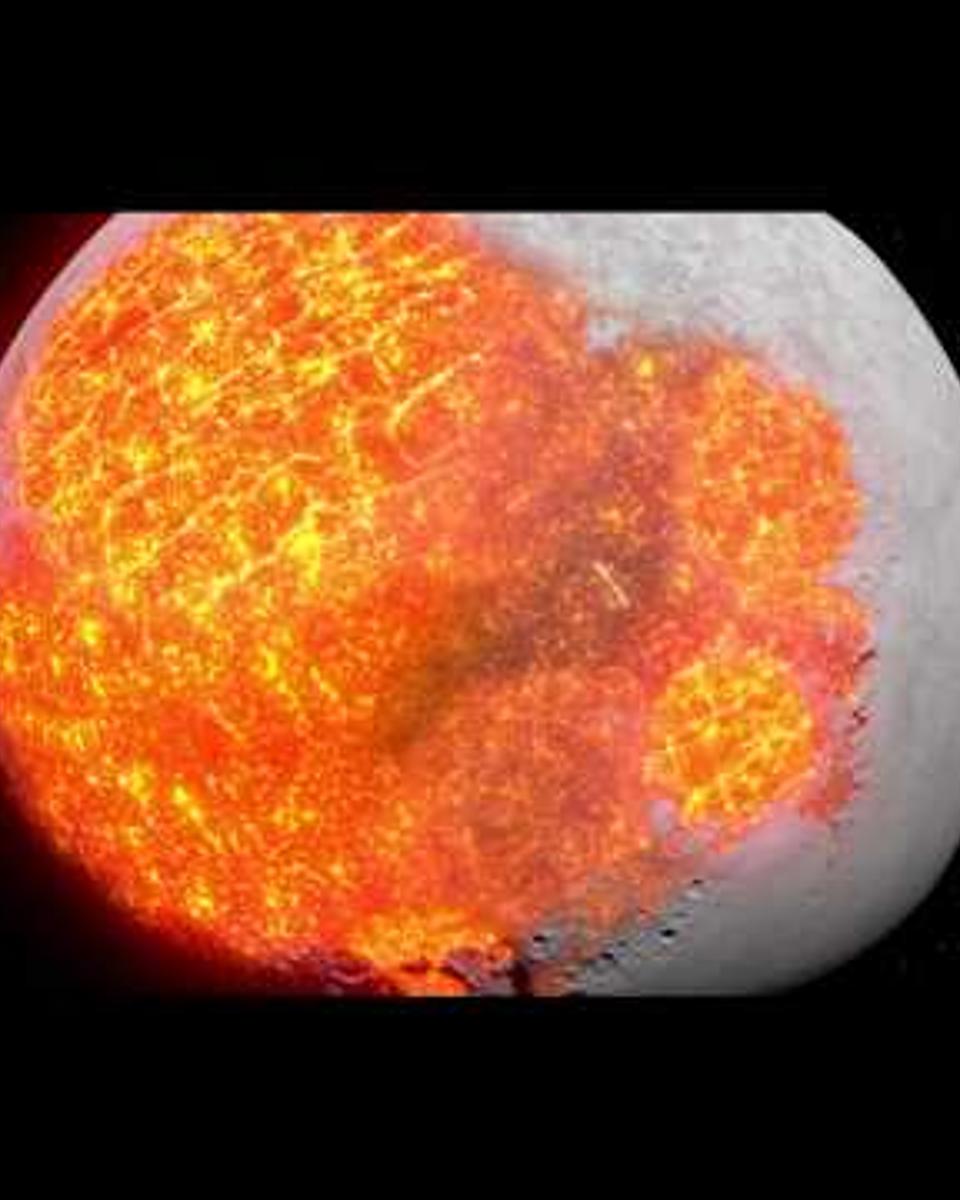 Evolution of the Moon