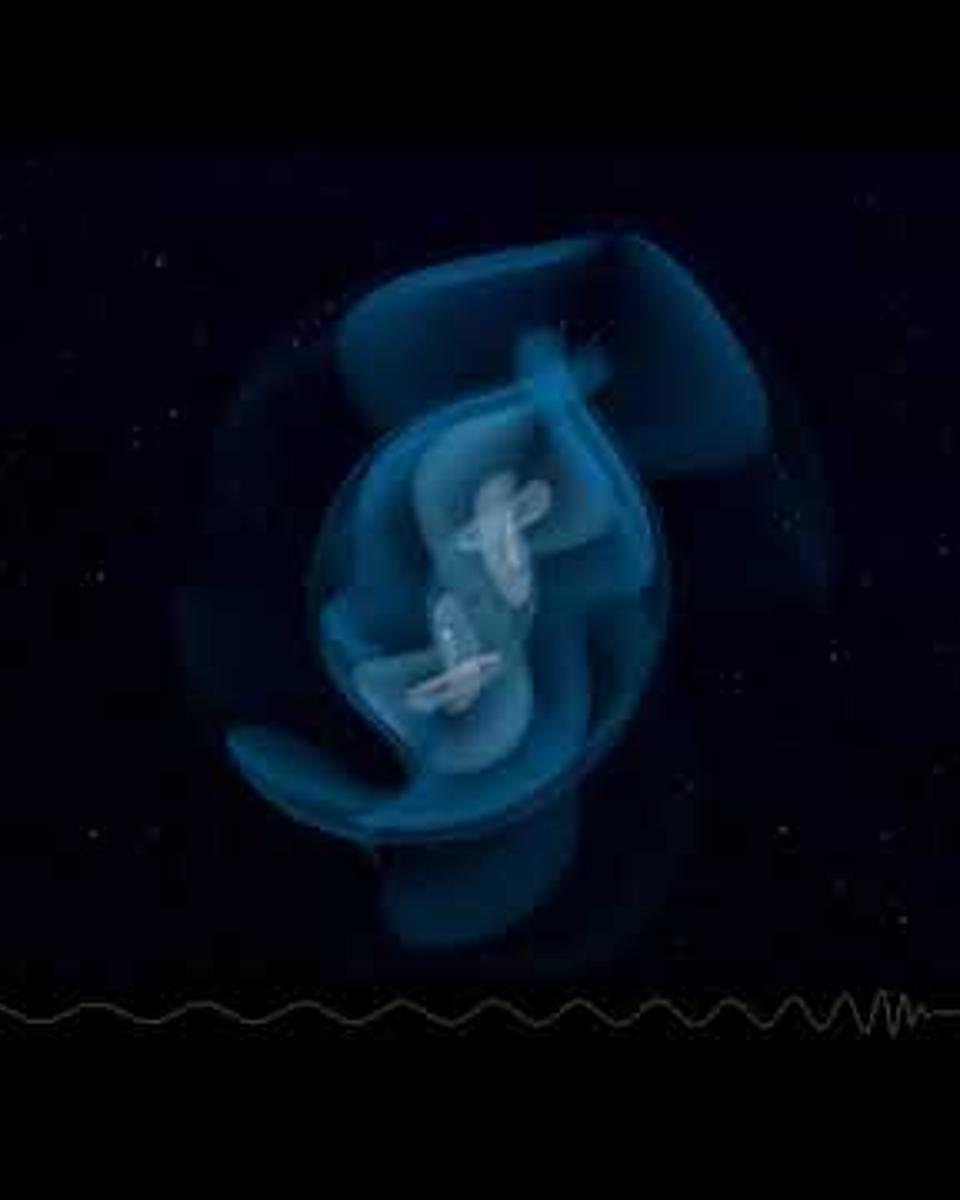 GW200115: Simulation of a Black Hole Merging with a Neutron Star