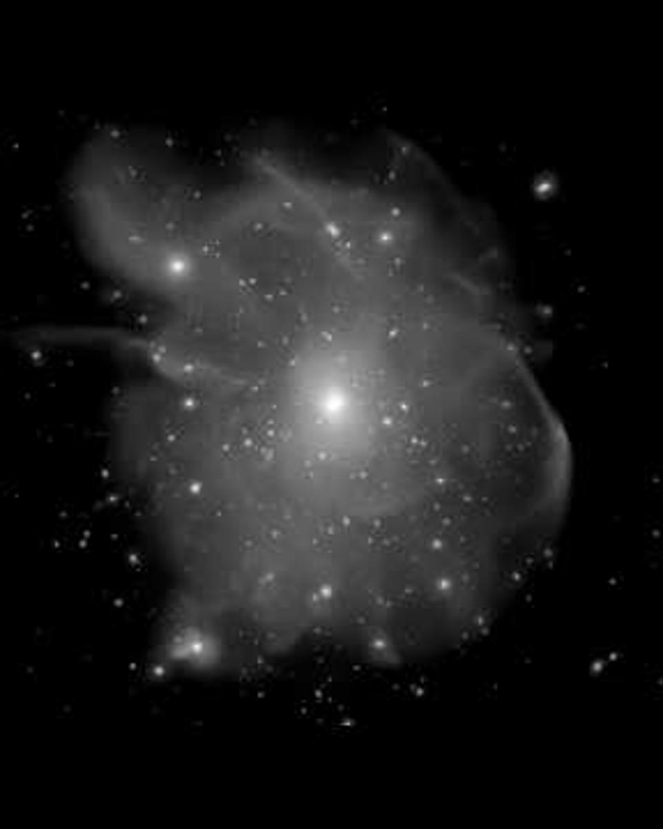 Simulation TNG50: A Galaxy Cluster Forms
