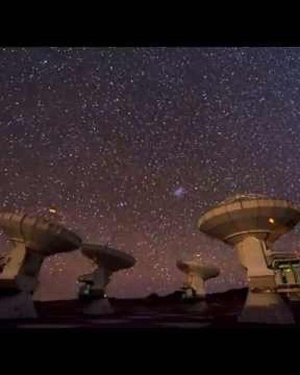 An ALMA Telescope Array Time-Lapse